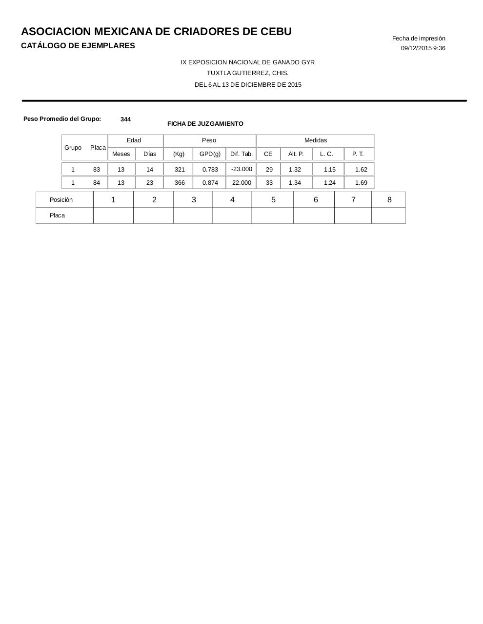 Vista previa del archivo PDF catalogogyr.pdf