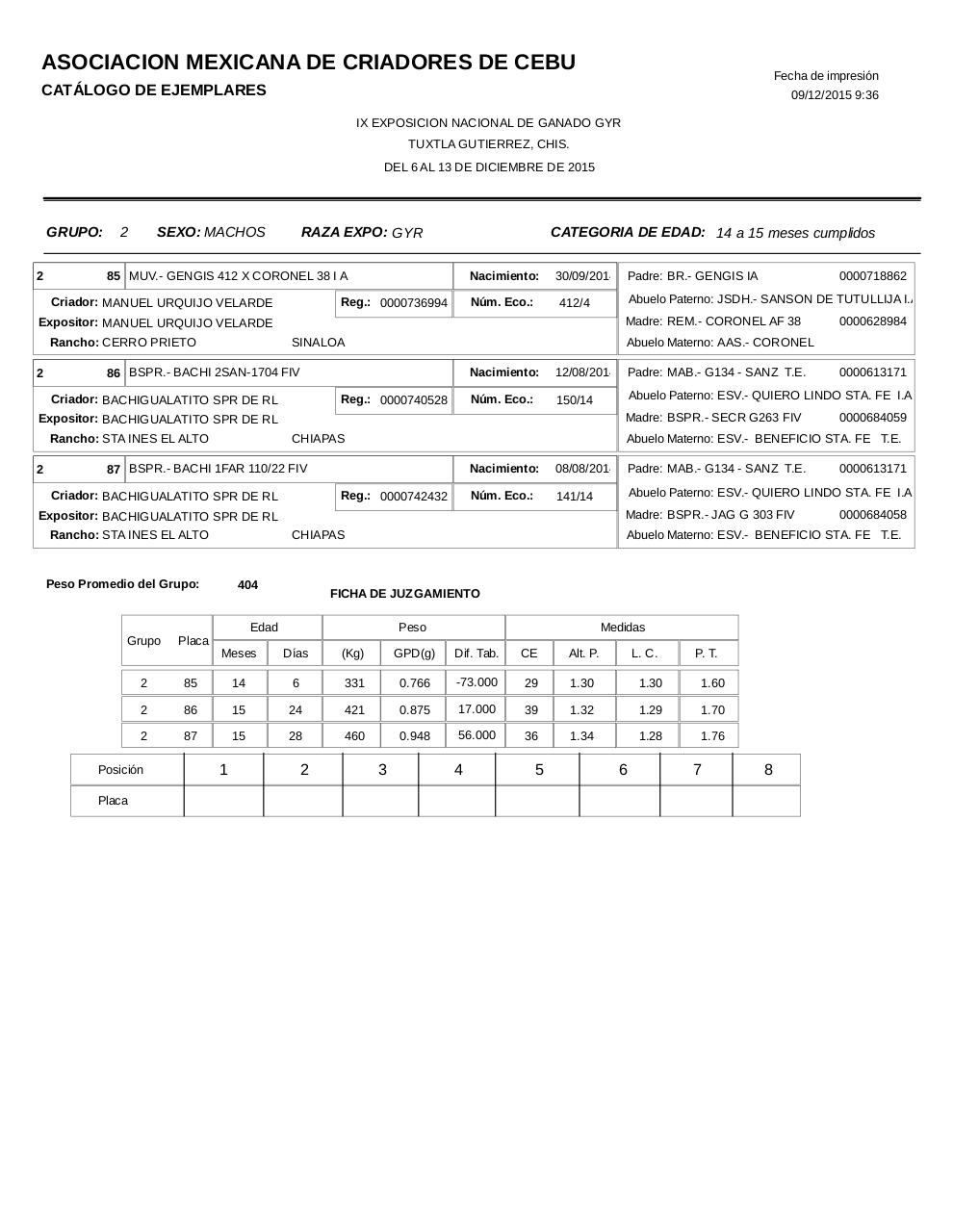 Vista previa del archivo PDF catalogogyr.pdf