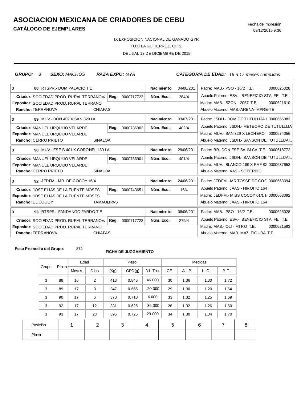 Vista previa del archivo PDF catalogogyr.pdf