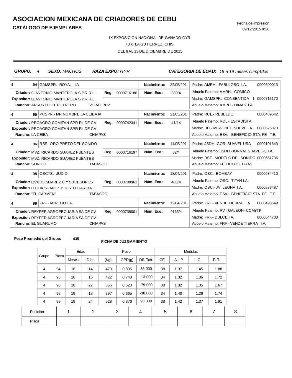 Vista previa del archivo PDF catalogogyr.pdf