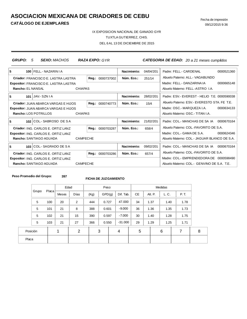 Vista previa del archivo PDF catalogogyr.pdf