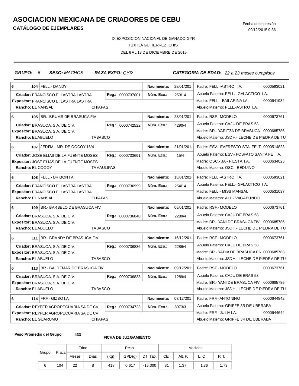 Vista previa del archivo PDF catalogogyr.pdf