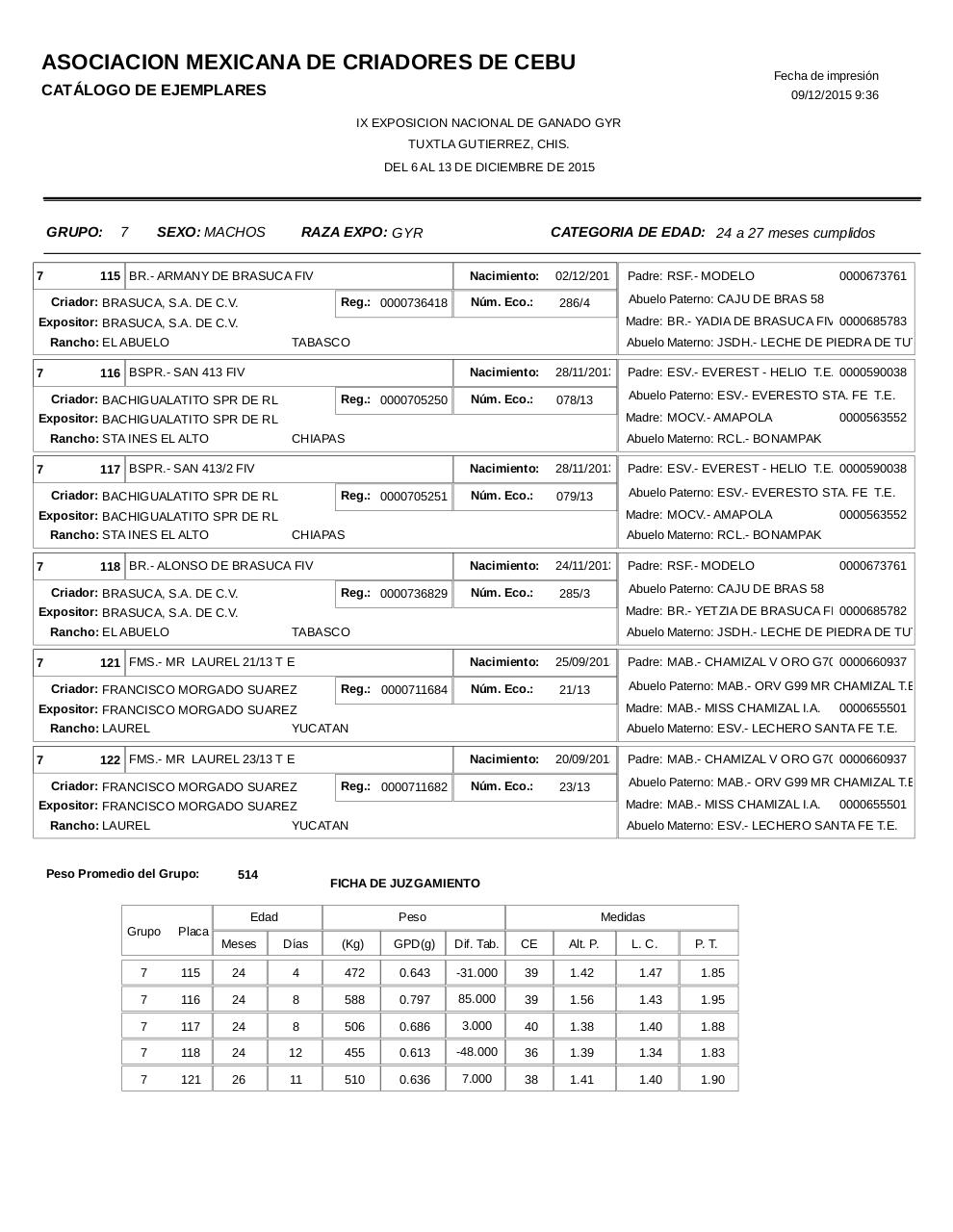 Vista previa del archivo PDF catalogogyr.pdf