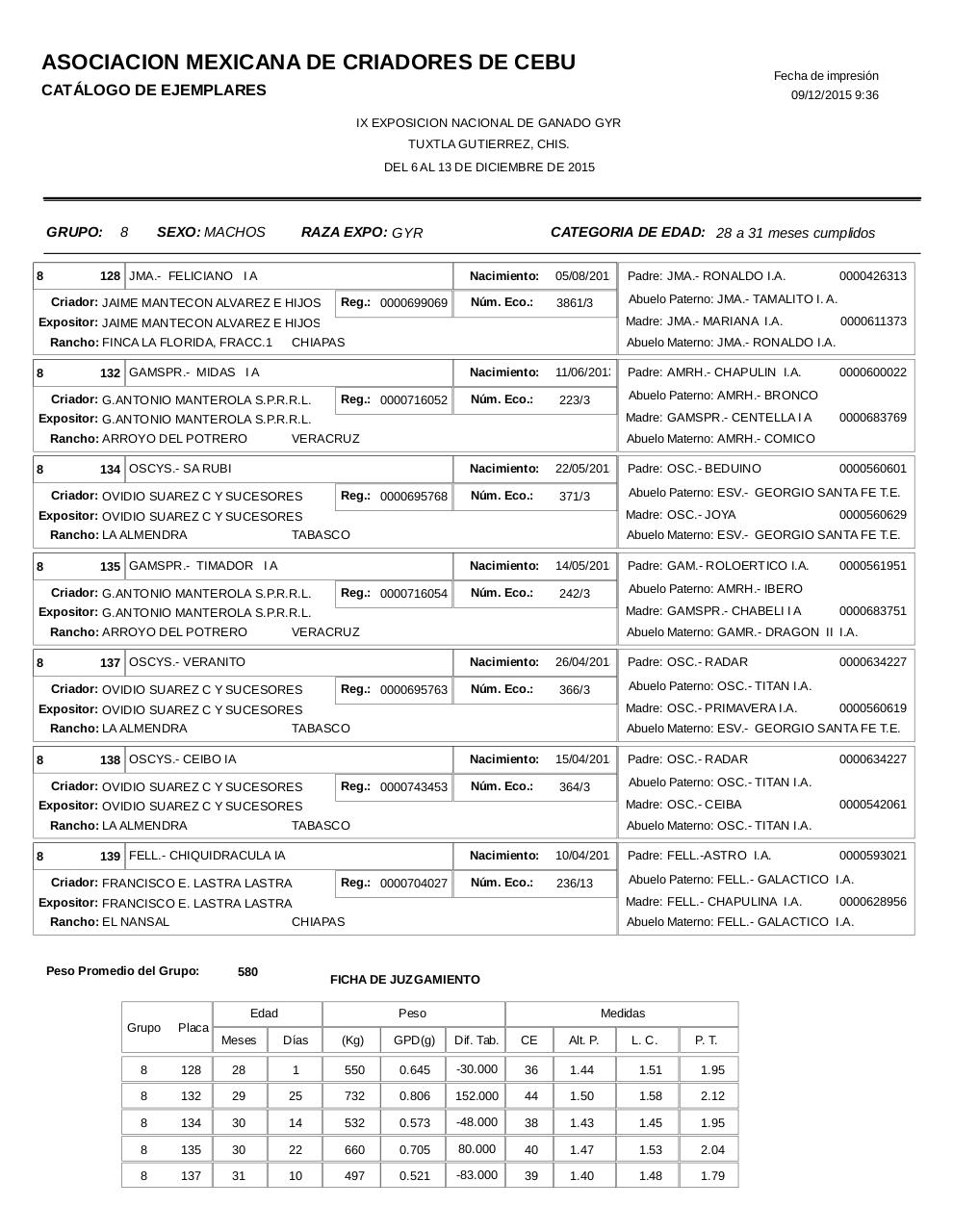 Vista previa del archivo PDF catalogogyr.pdf