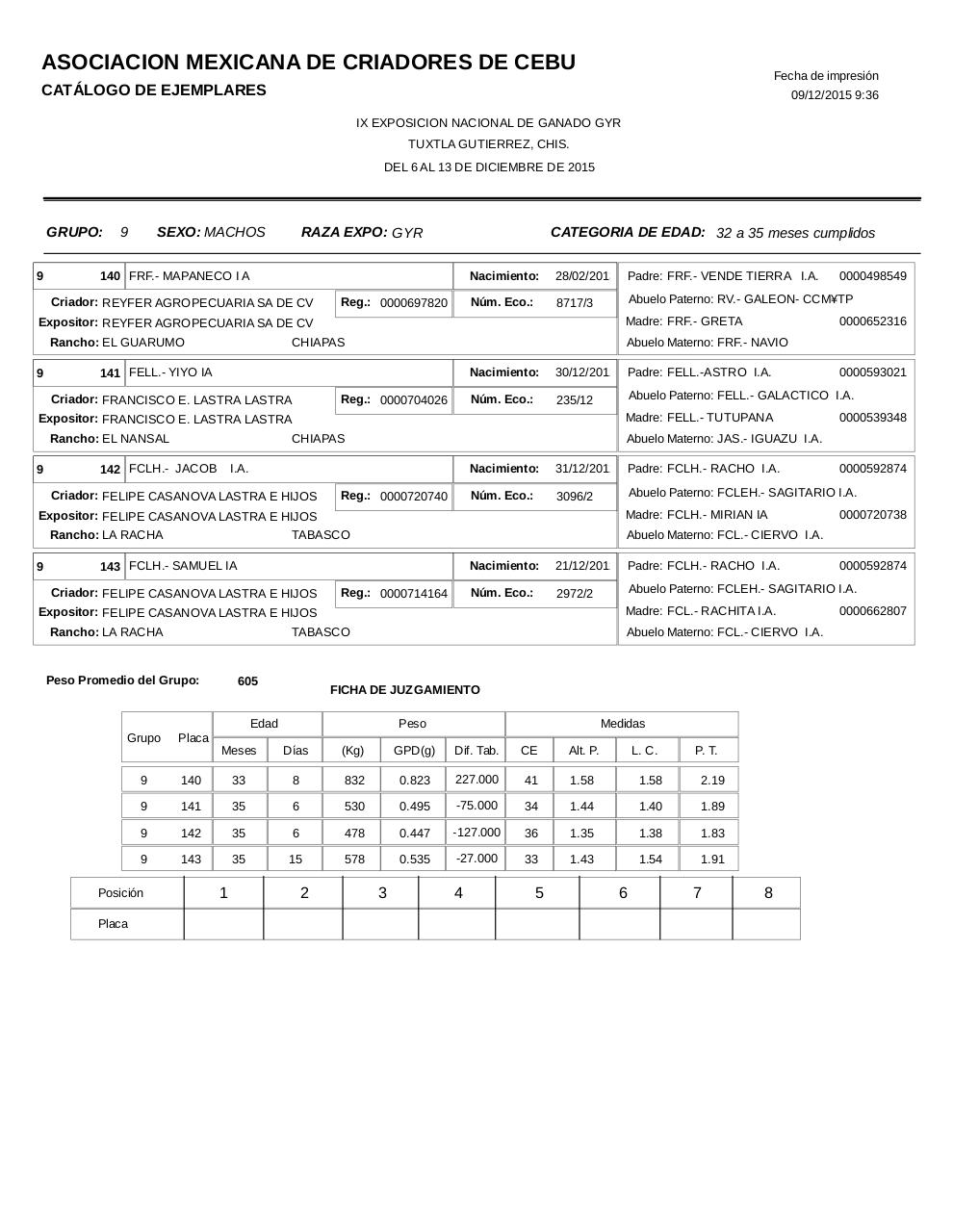 Vista previa del archivo PDF catalogogyr.pdf