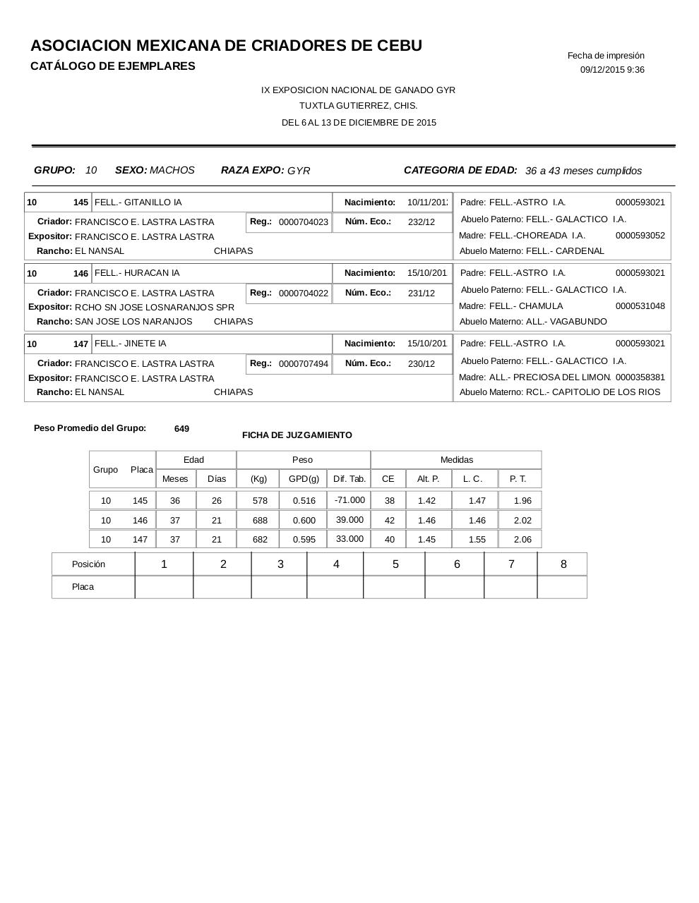 Vista previa del archivo PDF catalogogyr.pdf