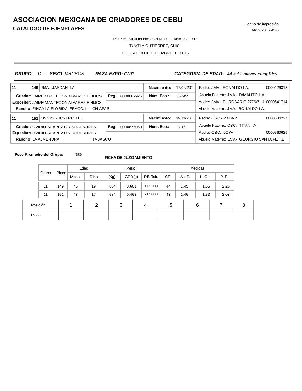 Vista previa del archivo PDF catalogogyr.pdf