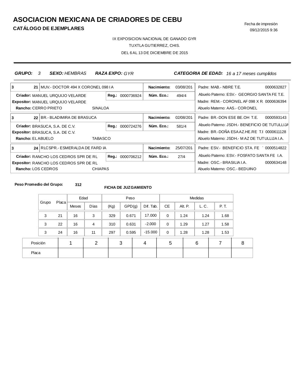 Vista previa del archivo PDF catalogogyr.pdf