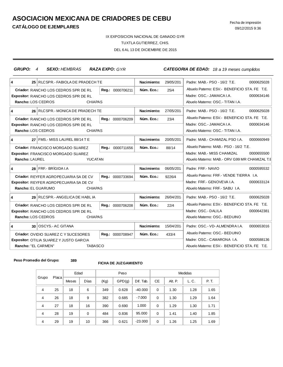 Vista previa del archivo PDF catalogogyr.pdf