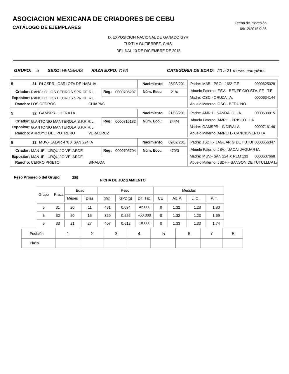 Vista previa del archivo PDF catalogogyr.pdf