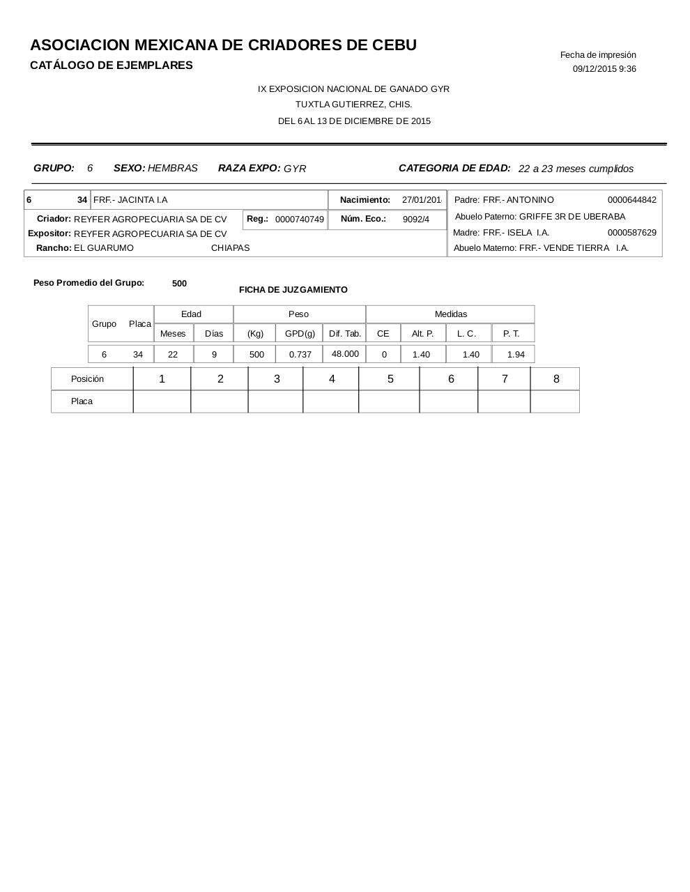 Vista previa del archivo PDF catalogogyr.pdf
