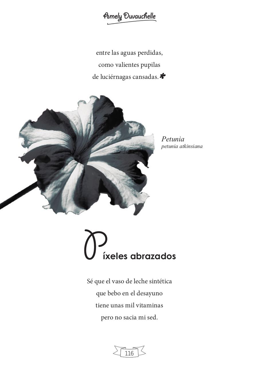 Vista previa del archivo PDF jardin-poesia.pdf