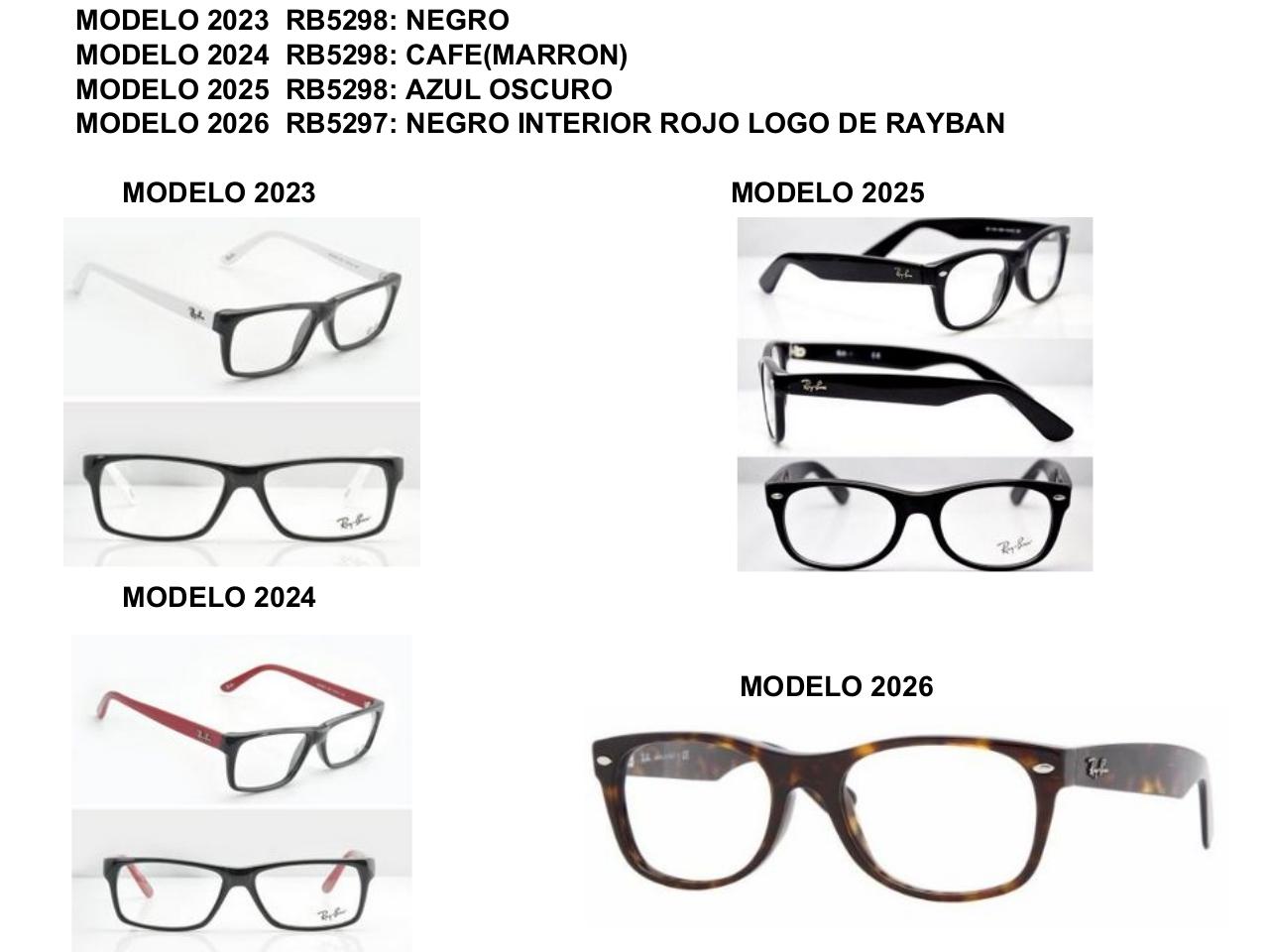 Vista previa del archivo PDF catalogo-ray-ban.pdf