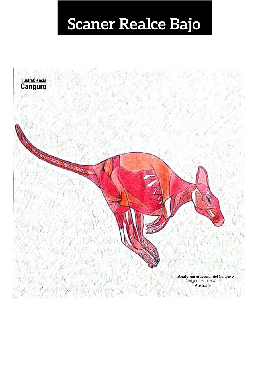 Vista previa del archivo PDF aa-final-guerrero-infante-edgar-alexander.pdf