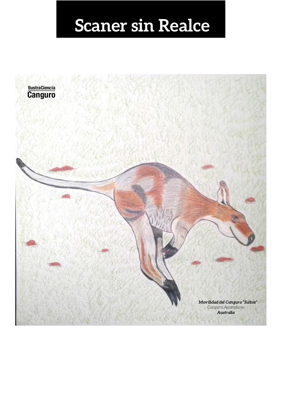 Vista previa del archivo PDF aa-final-guerrero-infante-edgar-alexander.pdf