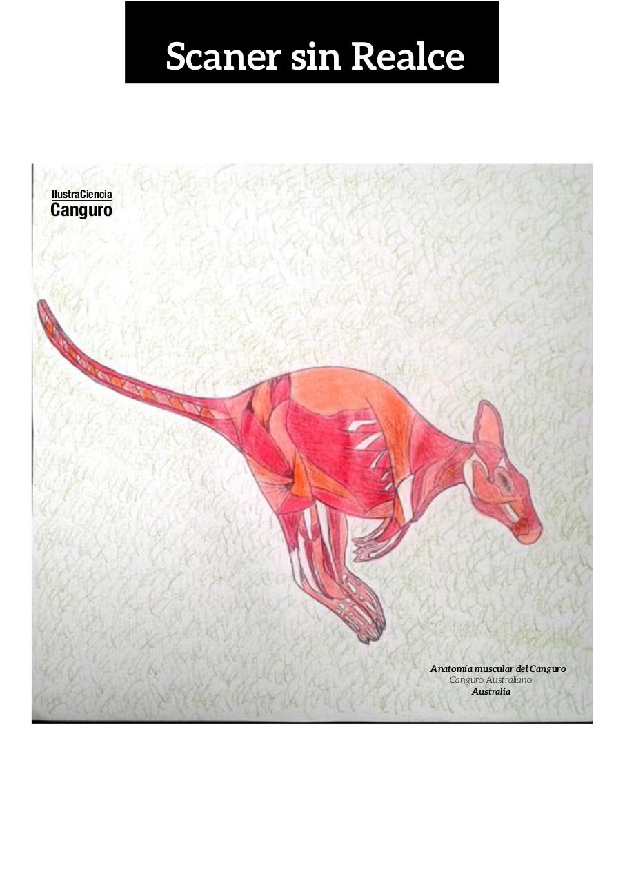 Vista previa del archivo PDF aa-final-guerrero-infante-edgar-alexander.pdf