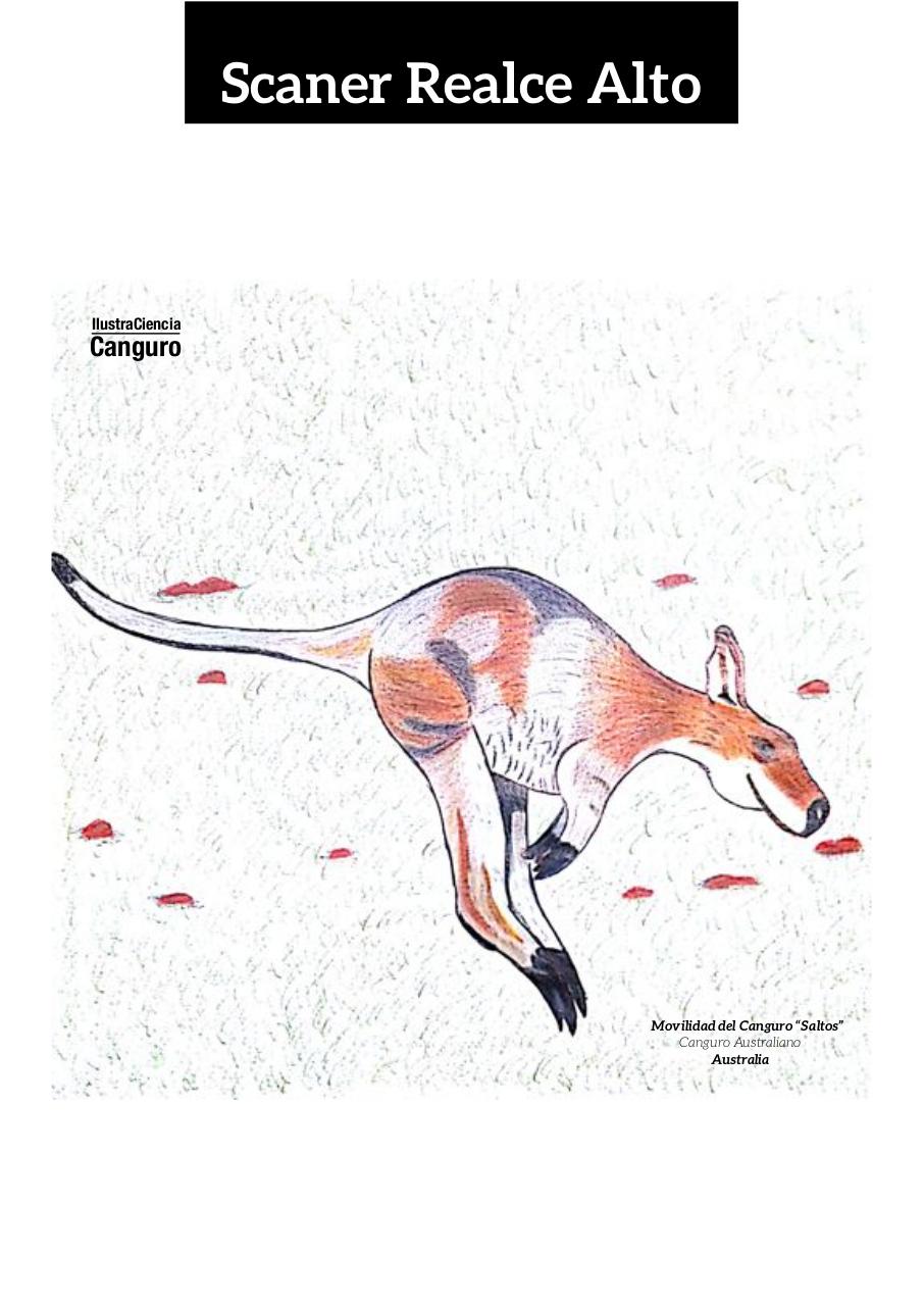 Vista previa del archivo PDF aa-final-guerrero-infante-edgar-alexander.pdf