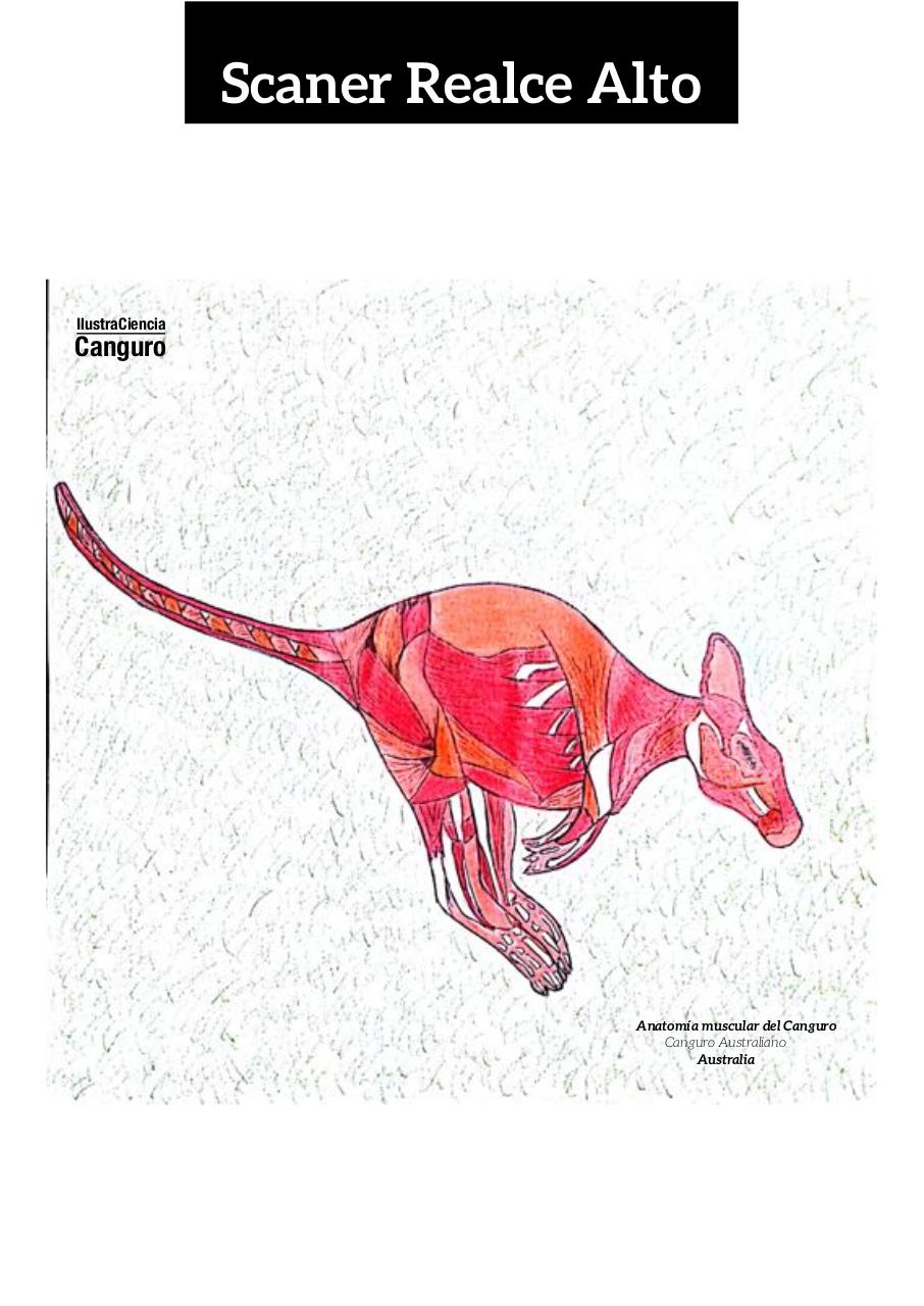 Vista previa del archivo PDF aa-final-guerrero-infante-edgar-alexander.pdf