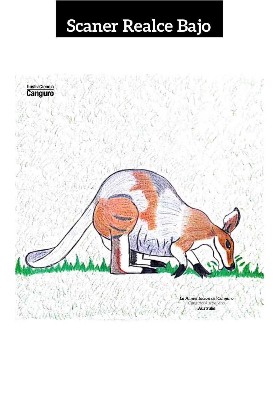 Vista previa del archivo PDF aa-final-guerrero-infante-edgar-alexander.pdf