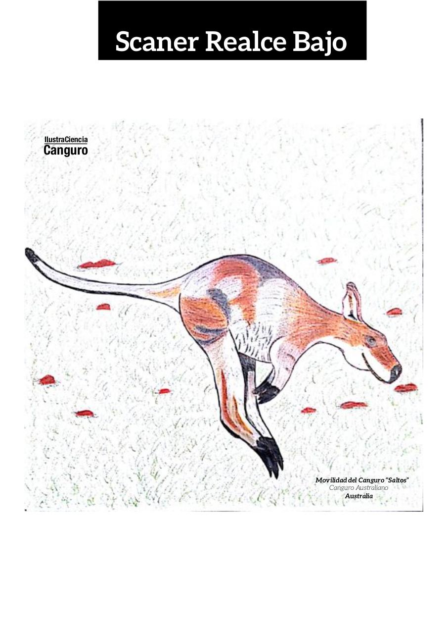 Vista previa del archivo PDF aa-final-guerrero-infante-edgar-alexander.pdf