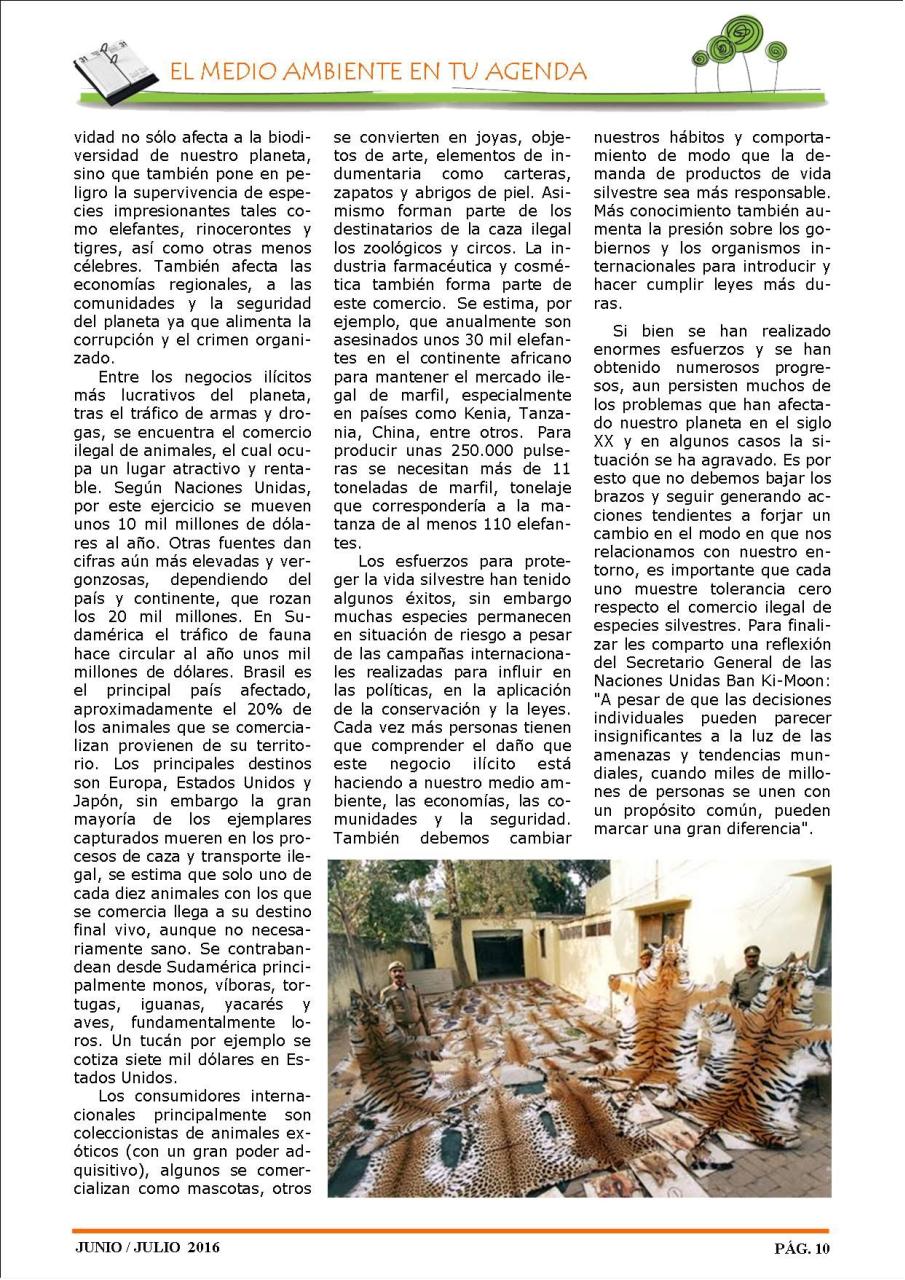 Vista previa del archivo PDF revista-ambiente-siglo-xxi-n-32-junio-julio.pdf