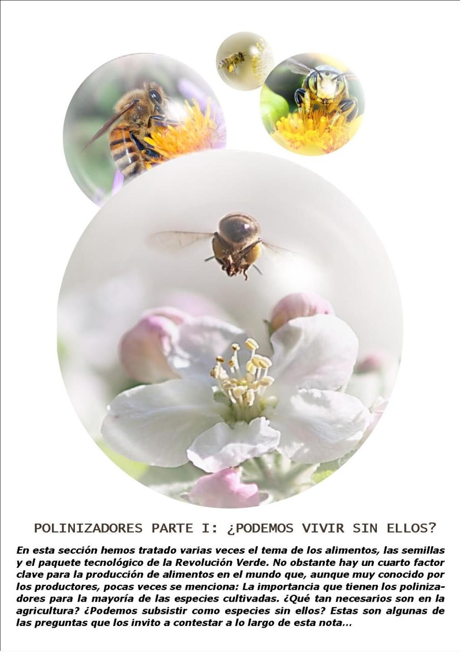 Vista previa del archivo PDF revista-ambiente-siglo-xxi-n-32-junio-julio.pdf