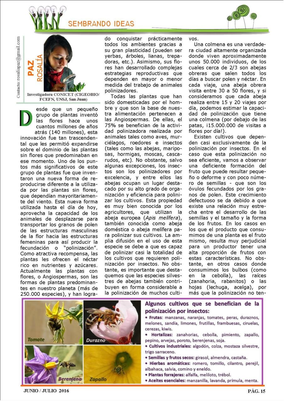 Vista previa del archivo PDF revista-ambiente-siglo-xxi-n-32-junio-julio.pdf