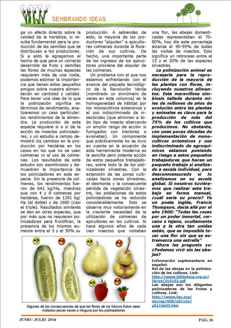 Vista previa del archivo PDF revista-ambiente-siglo-xxi-n-32-junio-julio.pdf