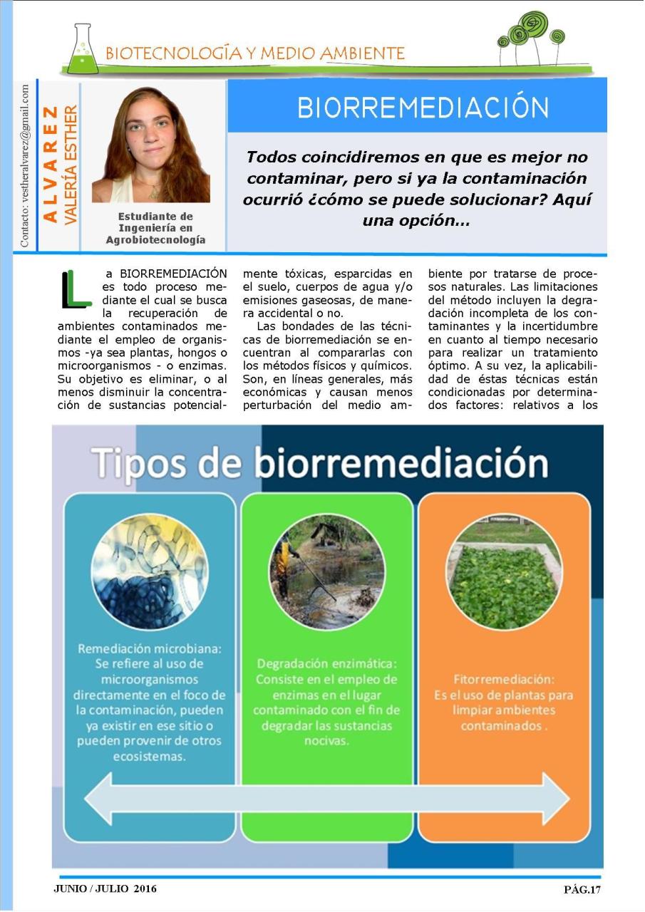 Vista previa del archivo PDF revista-ambiente-siglo-xxi-n-32-junio-julio.pdf