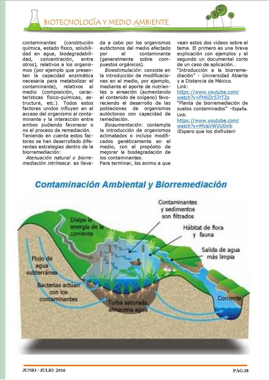 Vista previa del archivo PDF revista-ambiente-siglo-xxi-n-32-junio-julio.pdf