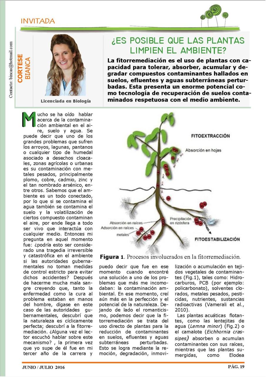 Vista previa del archivo PDF revista-ambiente-siglo-xxi-n-32-junio-julio.pdf