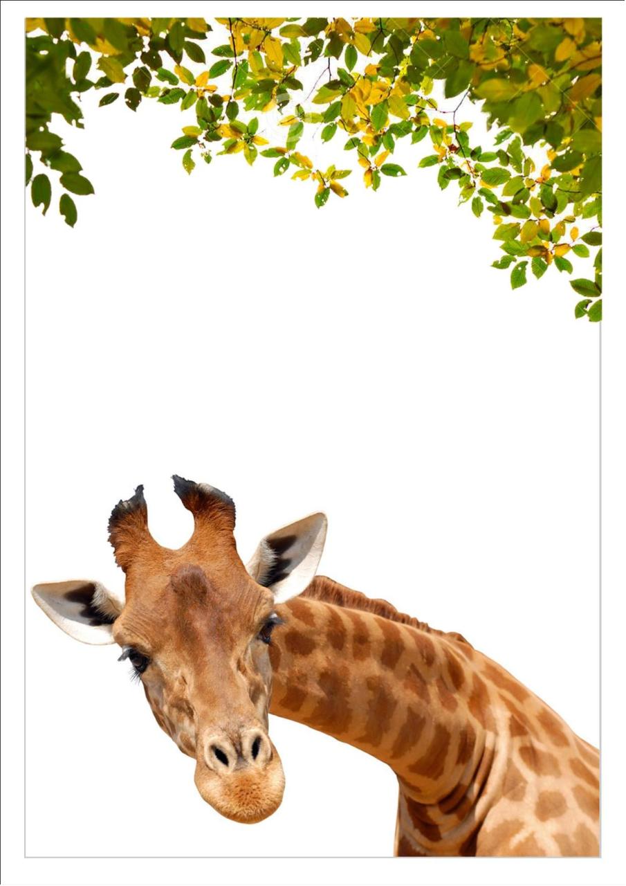 Vista previa del archivo PDF revista-ambiente-siglo-xxi-n-32-junio-julio.pdf