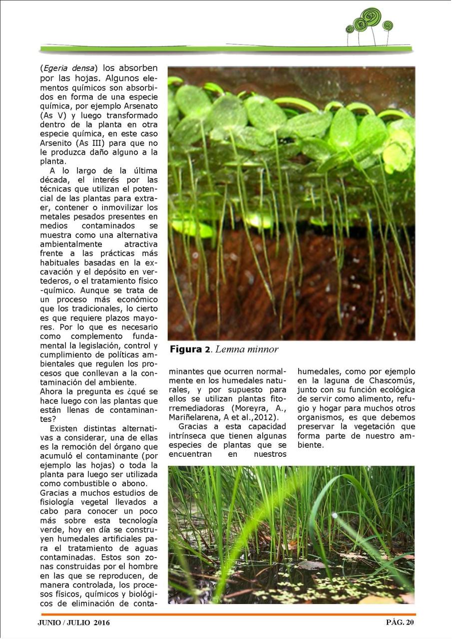 Vista previa del archivo PDF revista-ambiente-siglo-xxi-n-32-junio-julio.pdf