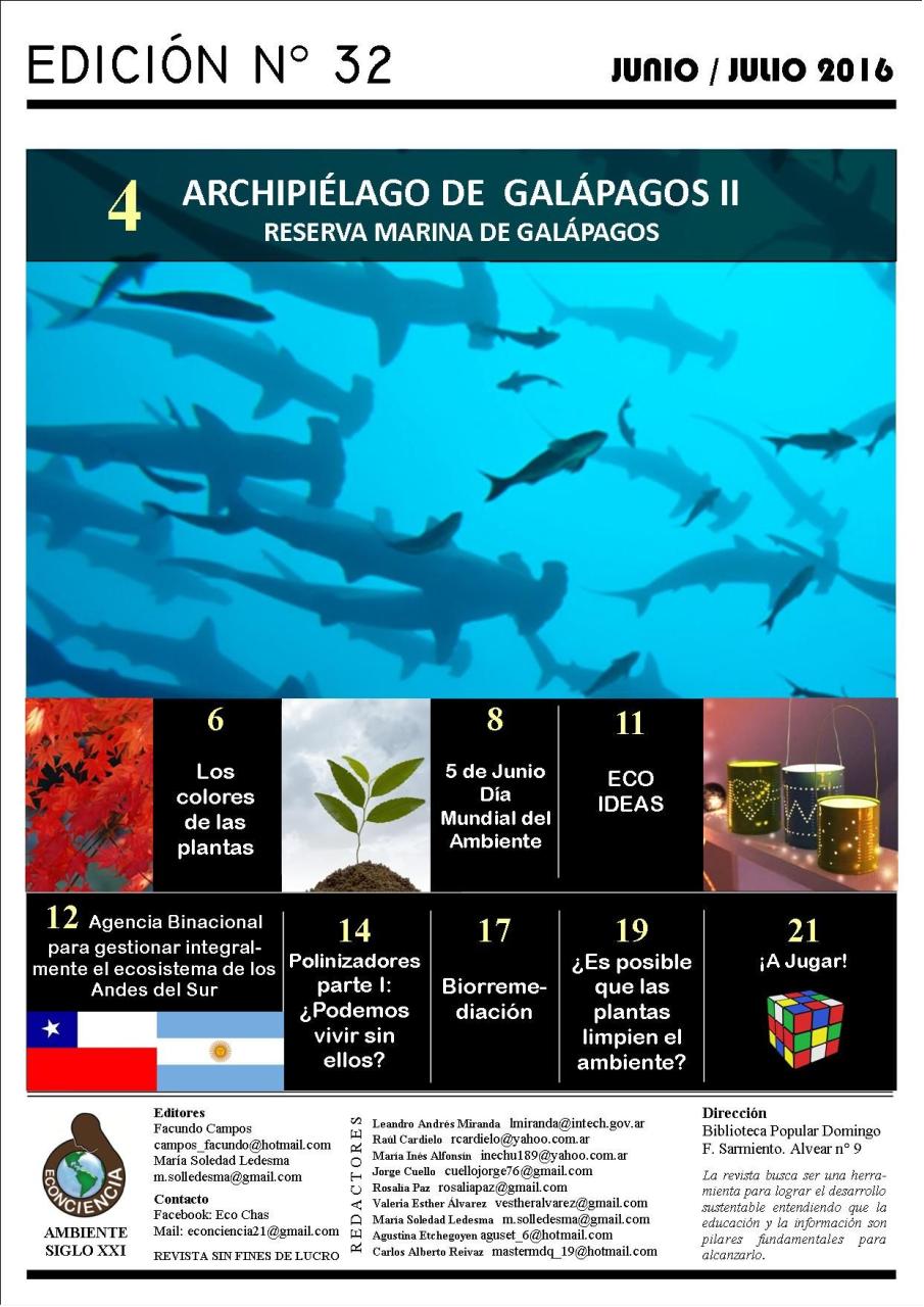 Vista previa del archivo PDF revista-ambiente-siglo-xxi-n-32-junio-julio.pdf