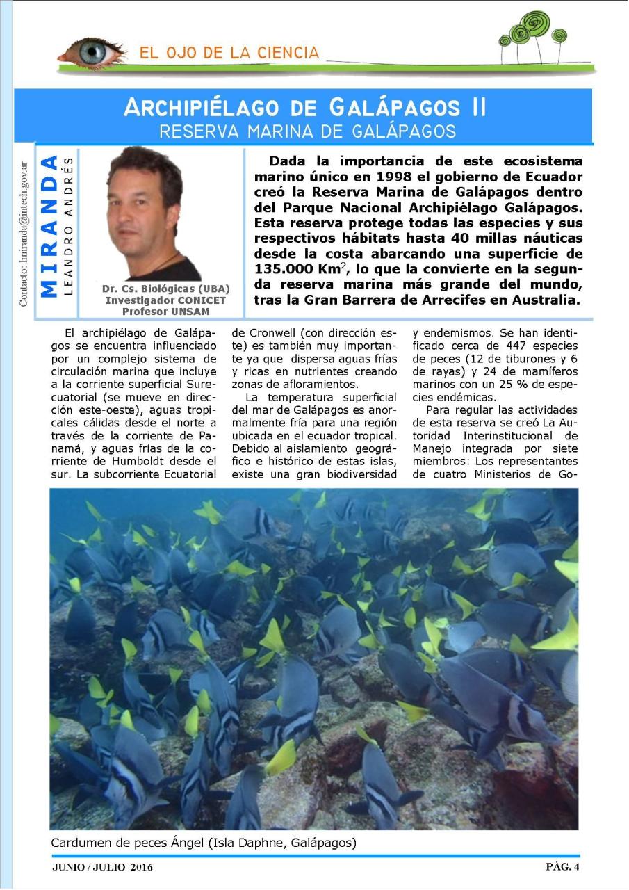 Vista previa del archivo PDF revista-ambiente-siglo-xxi-n-32-junio-julio.pdf