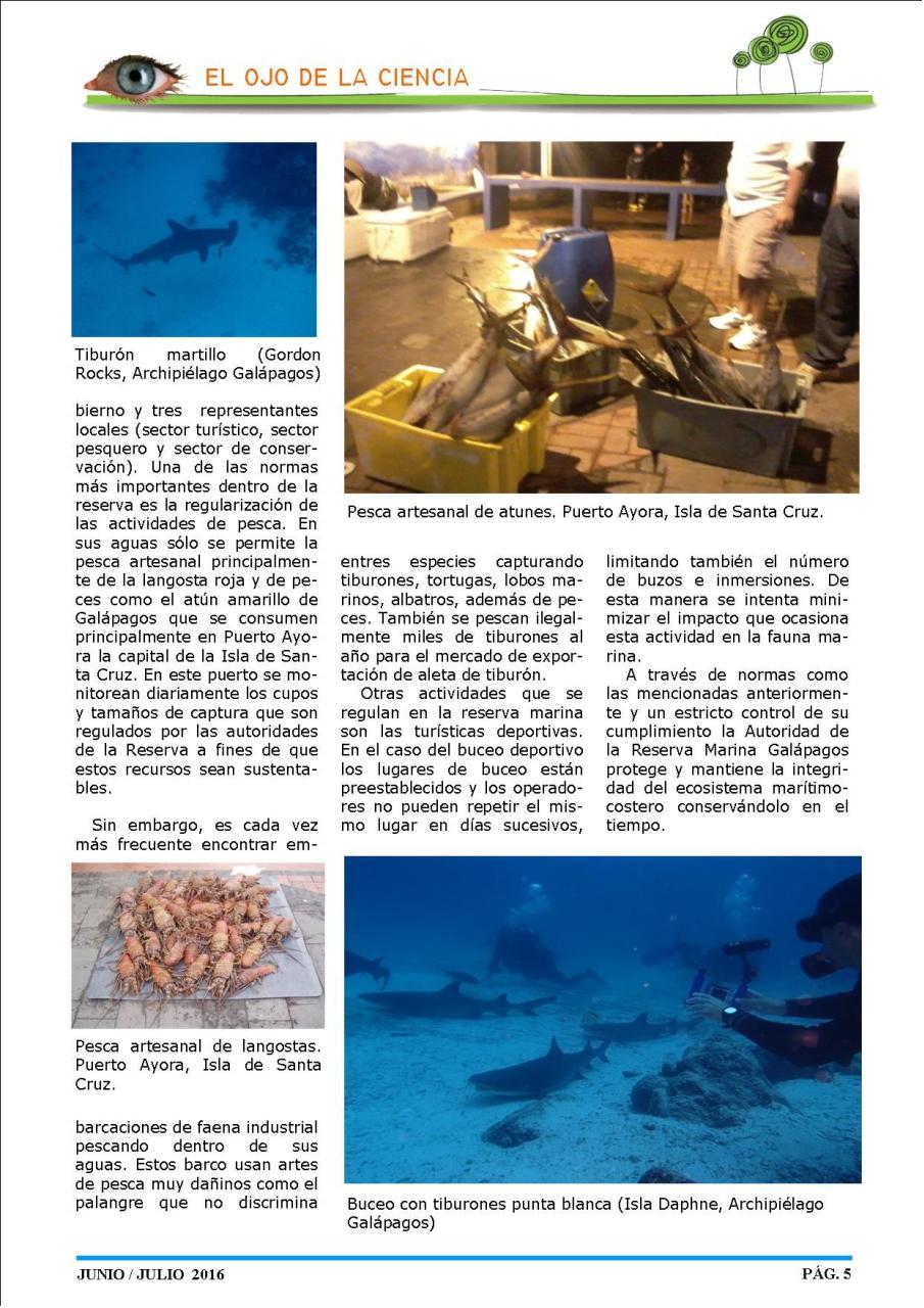 Vista previa del archivo PDF revista-ambiente-siglo-xxi-n-32-junio-julio.pdf