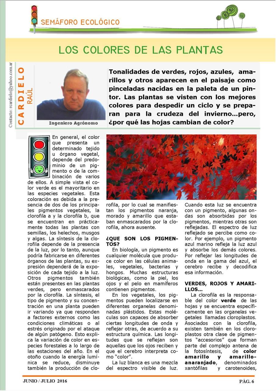 Vista previa del archivo PDF revista-ambiente-siglo-xxi-n-32-junio-julio.pdf