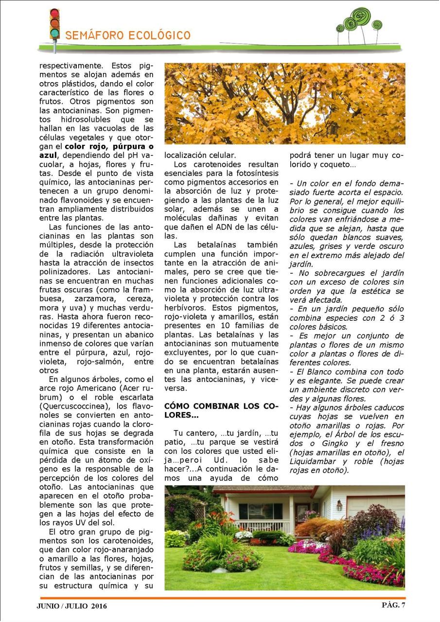 Vista previa del archivo PDF revista-ambiente-siglo-xxi-n-32-junio-julio.pdf