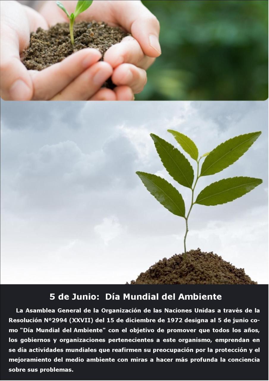 Vista previa del archivo PDF revista-ambiente-siglo-xxi-n-32-junio-julio.pdf