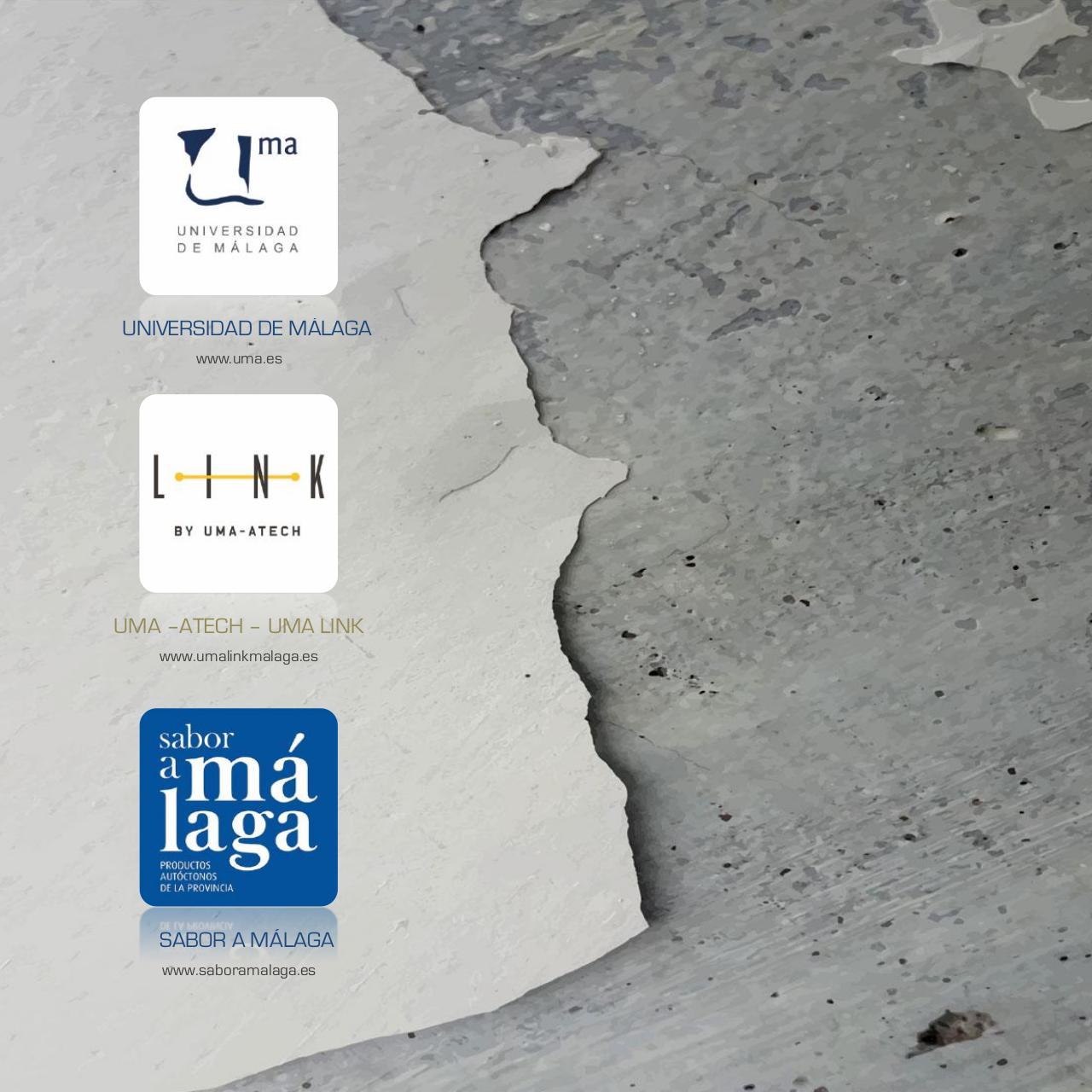 Vista previa del archivo PDF dossier-versi-n-espanola-sd.pdf