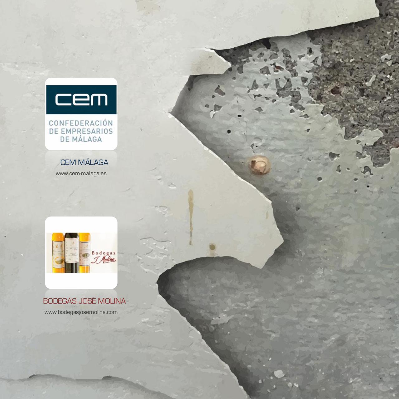 Vista previa del archivo PDF dossier-versi-n-espanola-sd.pdf