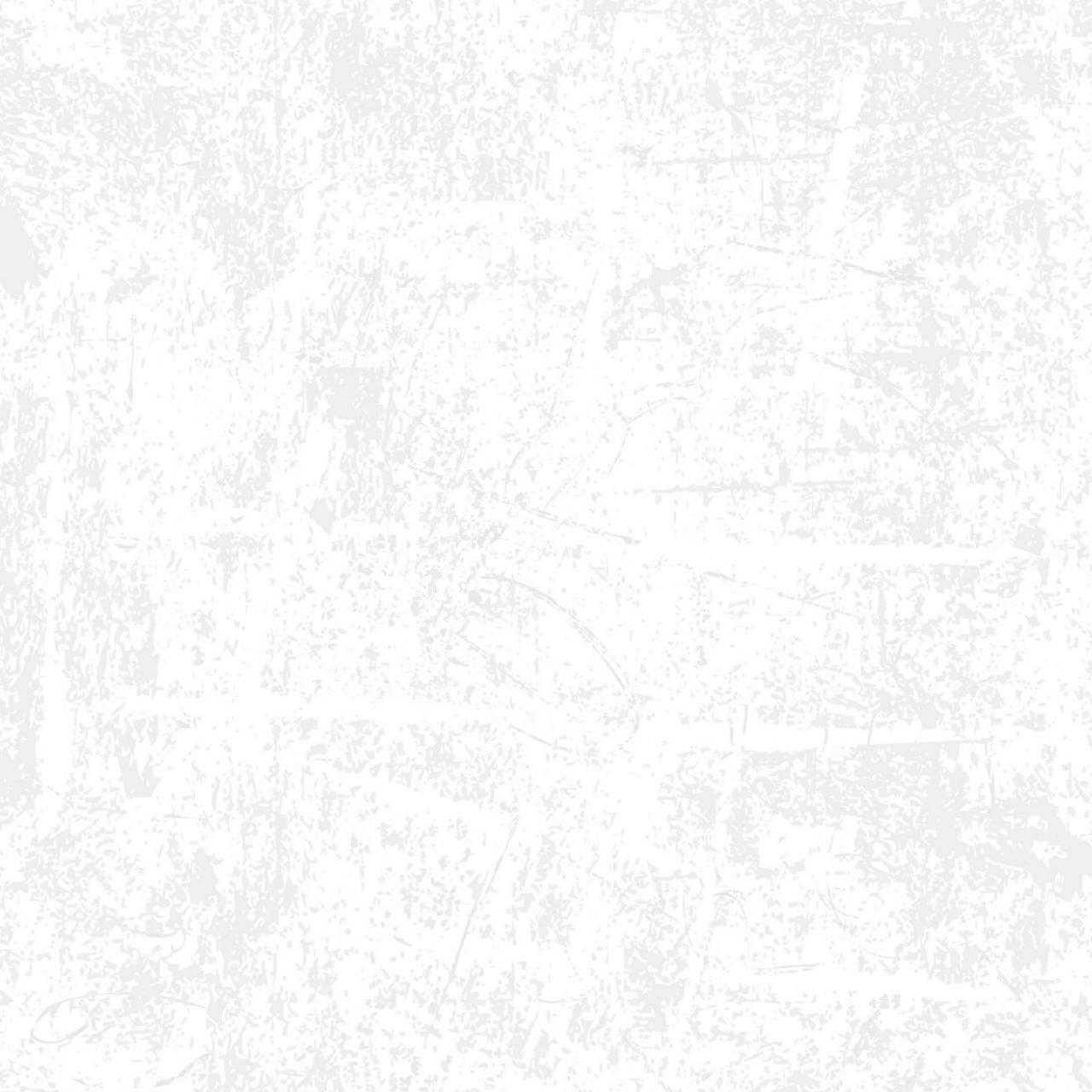 Vista previa del archivo PDF dossier-versi-n-espanola-sd.pdf