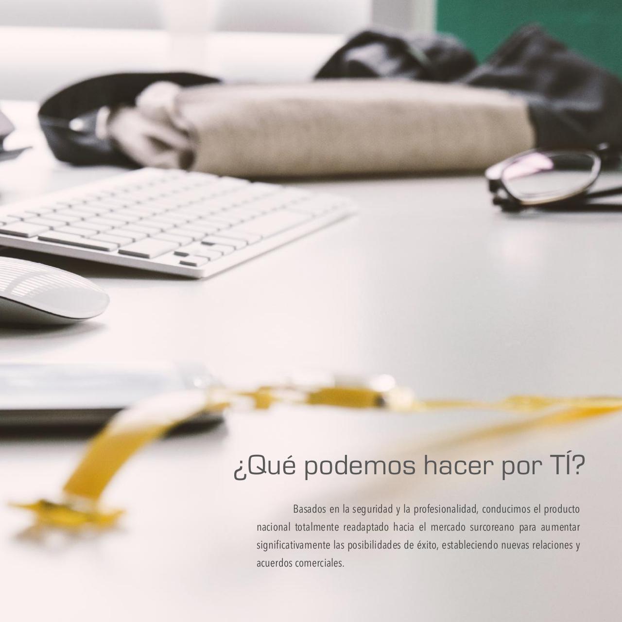 Vista previa del archivo PDF dossier-versi-n-espanola-sd.pdf