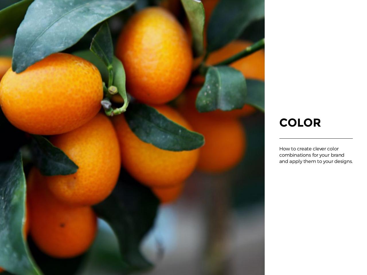 Vista previa del archivo PDF how-to-design-for-your-brand-1.pdf