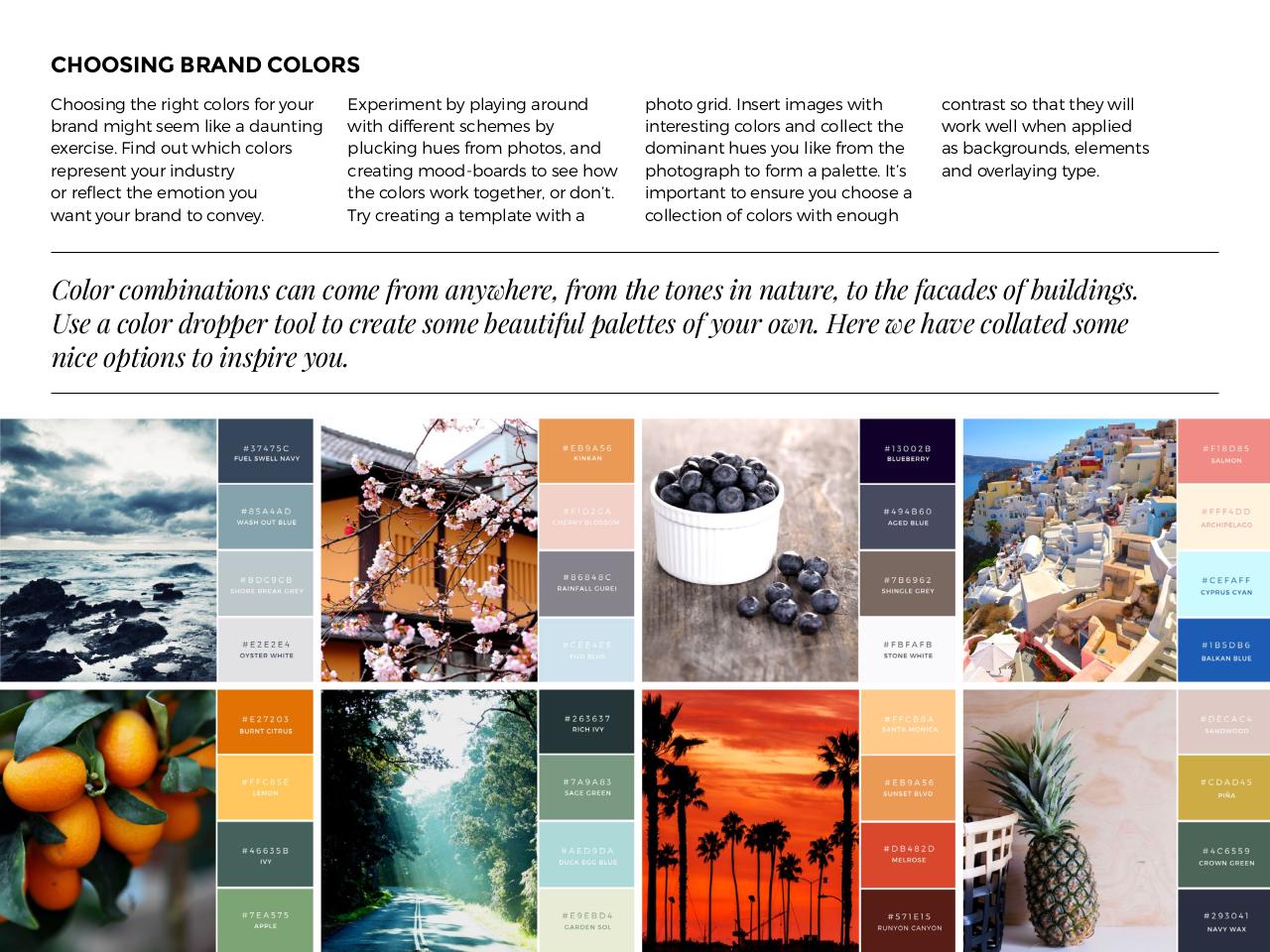 Vista previa del archivo PDF how-to-design-for-your-brand-1.pdf