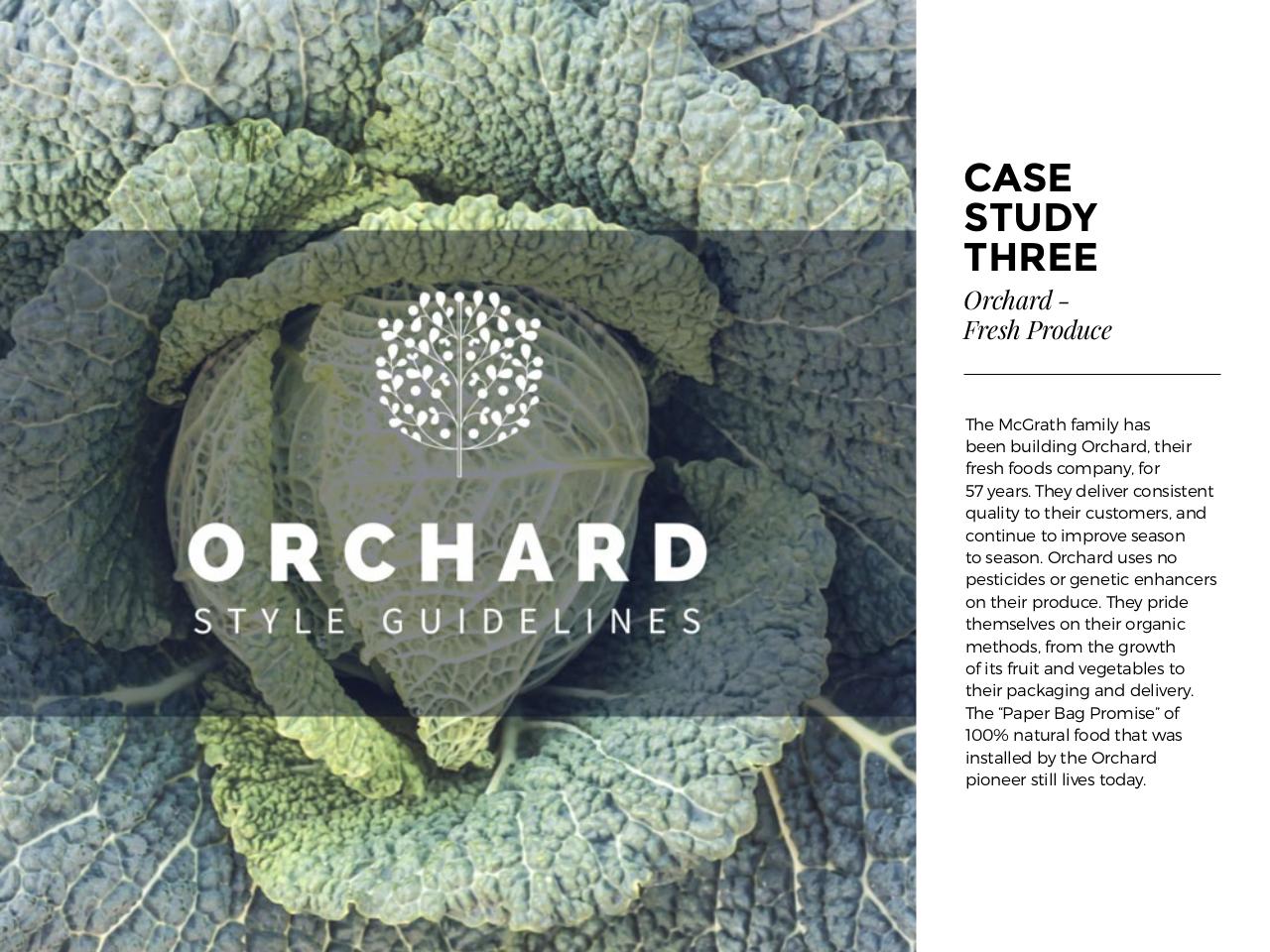 Vista previa del archivo PDF how-to-design-for-your-brand-1.pdf