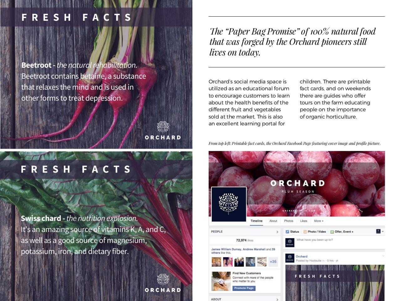 Vista previa del archivo PDF how-to-design-for-your-brand-1.pdf