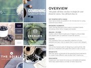 How-to-design-for-your-brand(1).pdf - página 2/36