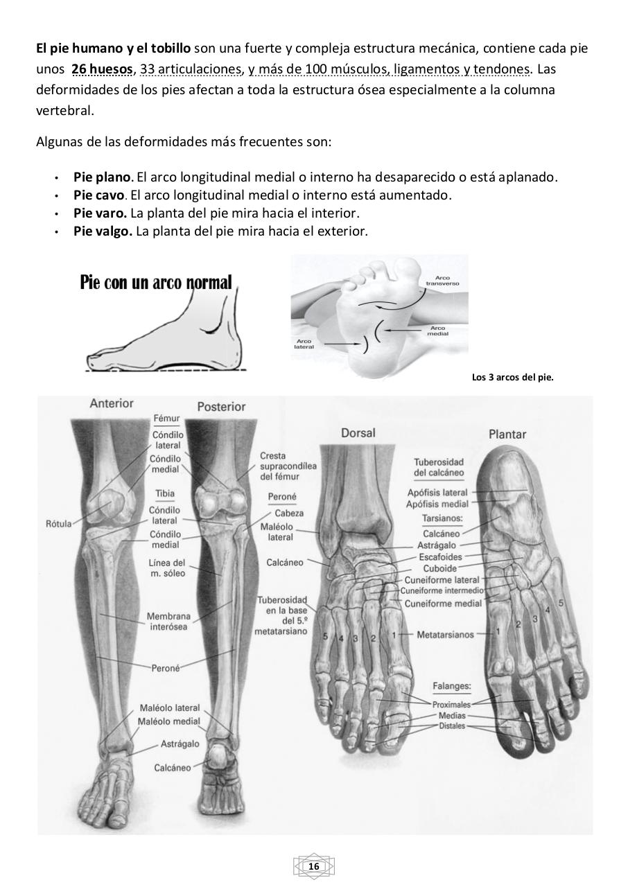 Vista previa del archivo PDF curso-b-sico-de-quiromasaje-terapeutico-2015.pdf
