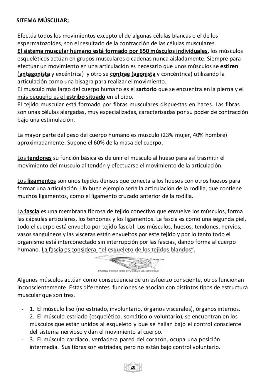 Vista previa del archivo PDF curso-b-sico-de-quiromasaje-terapeutico-2015.pdf